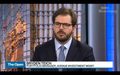 Enough economic headwinds on horizon – Bryden Teich
