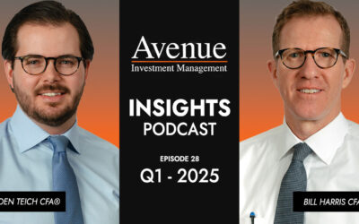Trade War Redux – 2025 First Quarter Update